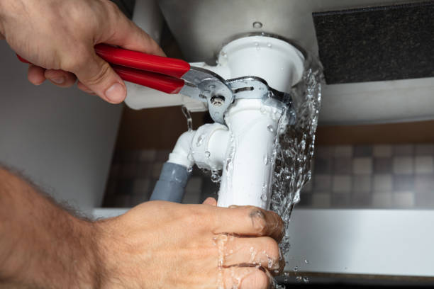 Best Water damage cleanup near me  in Aldine, TX
