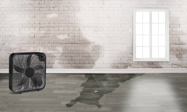 Best Sewage cleanup and water damage restoration  in Aldine, TX