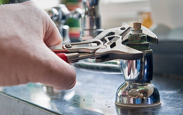 Best Mold removal after water damage  in Aldine, TX